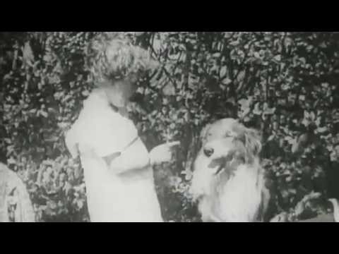 A Dog's love (1914) - full film / collies in silent cinema 2