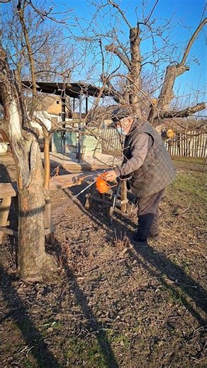 Fruit Tree Spraying in Spring Simple Routine for Orchard Health #garden #gardening #homestead #short