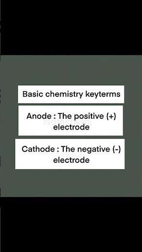 Anode vs Cathode Explained Simply | Electrochemistry Basics