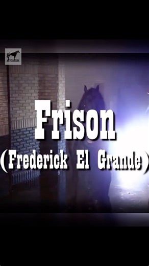 El Frisón Más Famosos Del Mundo #caballos #horse #frison | De Caballos