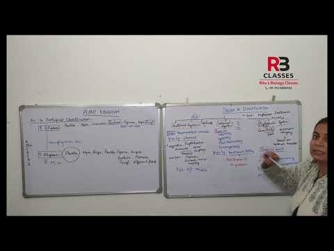 Plant Kingdom: System of Classification