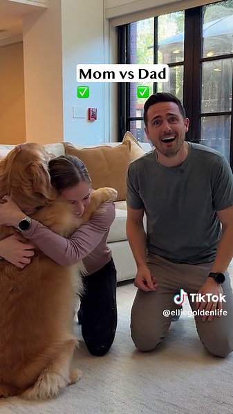 Mom vs Dad Hugs Challenge with Golden Retrievers
