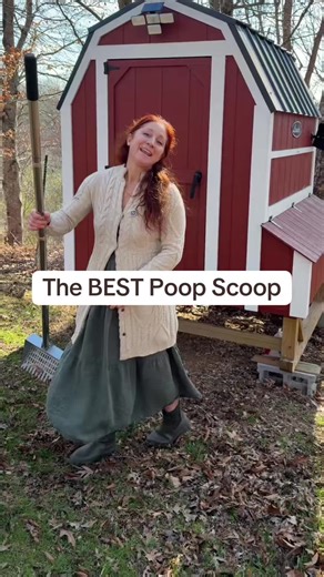Chicken poop scooper for backyard chickens and homesteading chicken coops. Long handle metal chicken coop cleaning tool for daily coop maintenance, fast manure removal, cleaner chicken runs, and healthier backyard poultry. Ideal for chicken owners, small flock care, and sustainable homestead routines. #BackyardChickens #ChickenCoop #Homesteading #ChickenOwner #poultrycare