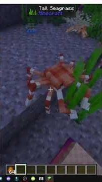 HOW TO USE CRUSTACEANS AND CRABS IN MINECRAFT WITH Hybrid Aquatic
