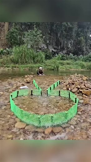 Innovative Fish Trap Using Plastic Netting