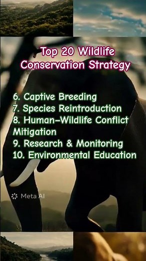 Top wildlife conservation strategy / technique, Wildlife Management #technique #effort #hwc #zoo UAV