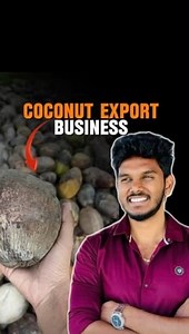 80K views · 2.1K reactions | Balancing the profit and loss is important! #coconut #vlog #coconutbusiness #reels #farmlife #coconuttree #tamil #explore #export #trendingreels #profit #loss #money | The Coco Brothers | Facebook