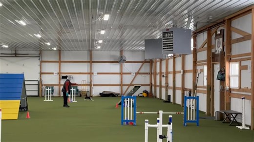 Harriett Browne is an amazing Agility trainer. Here she is with our RT girl "10". ❤️🧡 | Darice Ragan