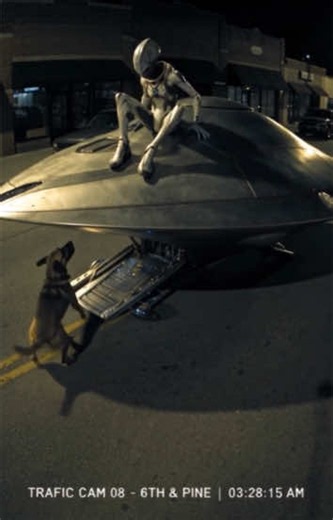 Alien gets intimidated by a Dog #ufo ##alien #aliencreatures #dog