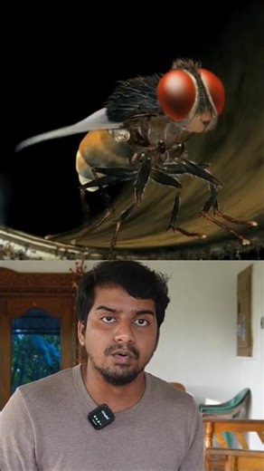 👁How animal see the world? // Sri info (Tamil)