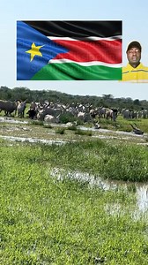 Life within Sudd Swamp, one of the largest wetlands on the planet. #swamp #suddswamp #SouthSudan #unite64tribes #ayiik211 #sudan #nileriver #wetlands | AYIIK 211