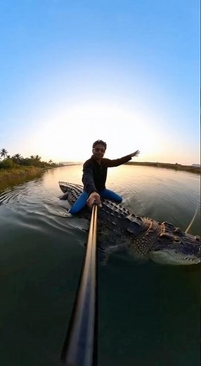 Extreme Crocodile Riding Adventure!