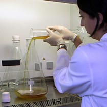 Video: Cell-Free Protein Synthesis from Exonuclease-Deficient Cellular Extracts Utilizing Linear DNA Templates