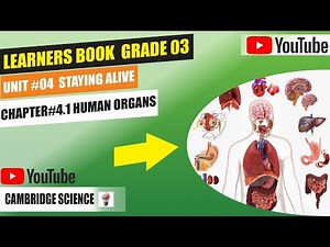 Grade-3,Unit#4 Staying Alive (Human Organs) Learner's book part 3