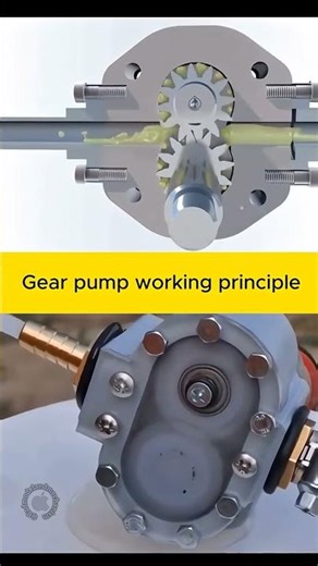 Gear Pump Working Principle shorts pump1080P 60FPS
