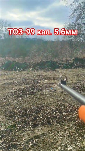 Clear hits on target with the TOZ-99 carbine #test #military #hunting