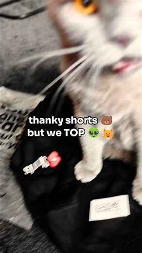 YouTube Sent Me This… but my cat stole it from me 😹