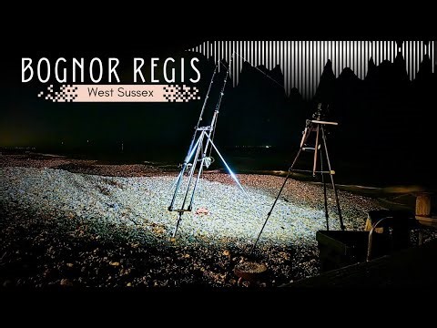 Can I Catch My Number 1 Target Species Of The Year?! | Beach Fishing UK | Bognor Regis - West Sussex