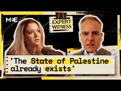 Recognition of Palestine: Does it matter? | Ardi Imseis | Expert Witness