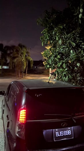 LED Projekter Kitoyo 1-2-3: Low & High Beam Padu