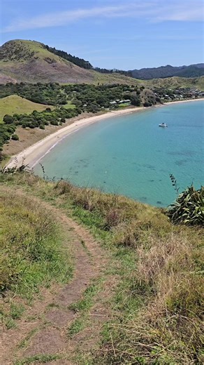 Shark Sightings at Opito Bay, NZ