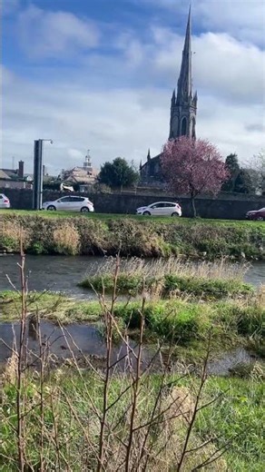 Ireland tourism #irishtourism #flowers #ytshorts