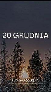 20 grudnia W dawnym kalendarzu ludowym dni około 20 grudnia miały wyraźnie wyciszony charakter: – kończono wszystkie ciężkie prace w gospodarstwie – nie rozpoczynano nowych robót „na szczęście” – porządkowano dom i obejście, by wejść w święta z ładem i spokojem – pilnie obserwowano pogodę, bo wierzono, że końcówka grudnia pokazuje początek nowego roku #adwent #tradycjapolska kalendarzludowy ludowamądrość ciszaprzedświętami zimanawsi dziedzictwoprzodków grudniowatradycja czasoczekiwania | Płonka