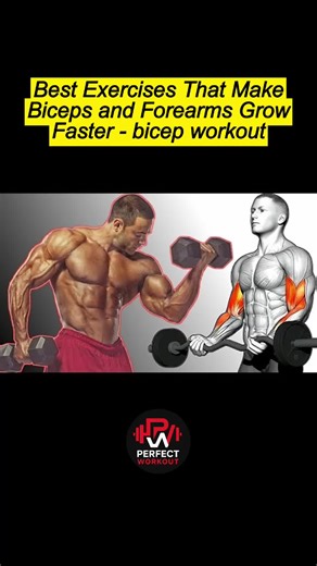 Effective Bicep and Forearm Workouts for Fast Growth