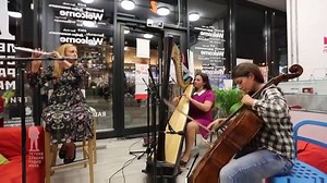 Adele - Skyfall 007 Theme (flute, cello, harp cover by Arfasound) #musicianshub #music #mustwatch | Musicians Hub