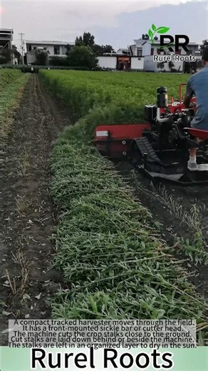 Watch This Compact Machine Cut Dense Crops with Perfect Precision
