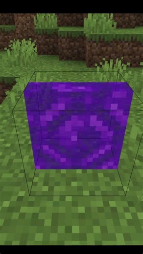 The Portal