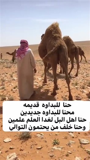 مصيف ١٤٤٥ #اكسبلور #ترند_تيك_توك #الابل #الشعب_الصيني_ماله_حل😂😂 #مزاين_الابل