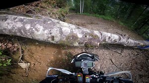 50K views · 238 shares | Quinn Cody shredding on his #KTM 1090 ADVENTURE R at Red Bull Romaniacs. #READYTORACE | KTM | Facebook