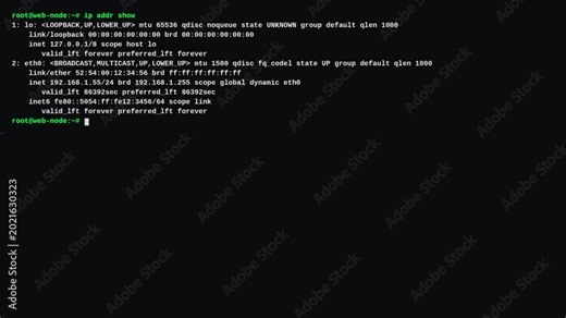 Advanced Linux command line showing ip addr network interface details for cloud server management