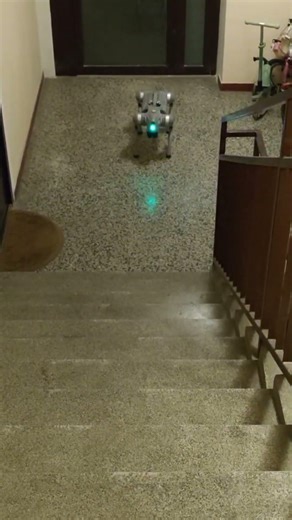 ROBOdog