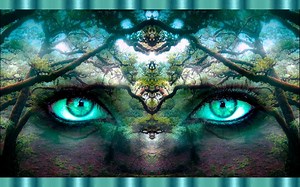 Forest of Wishes - Psychedelic Ambient & Psychill Mix