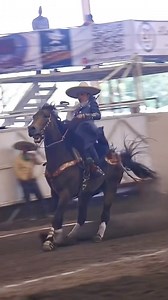 Reining with Elegance. Mexican Style by this escaramuza (skirmish) Lady. #horse #horseriding #horsesofinstagram #rein #reining #reininghorse #viral #followers | Skillful Cowboy
