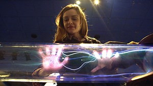 499K views · 2.3K shares | Is this startup’s revolutionary nuclear reactor the answer to the world’s growing energy needs? | Freethink | Facebook