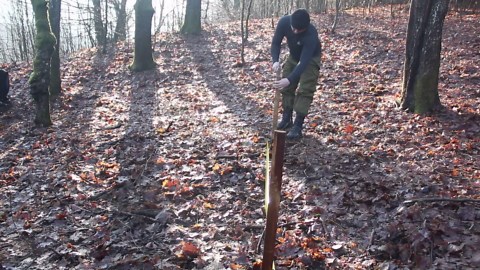 Built a House in the Middle of the Forest from Scratch