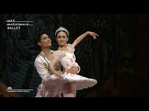 The Nutcracker & the Mouse King - Dutch National Ballet