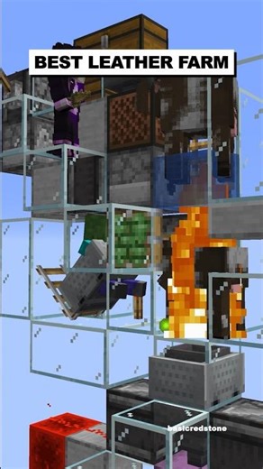 Best Leather Farm | Donut SMP #shorts