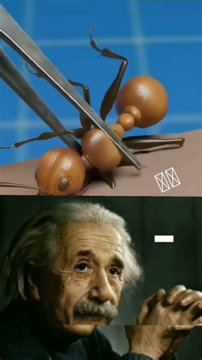 segma physics teacher #physics #science