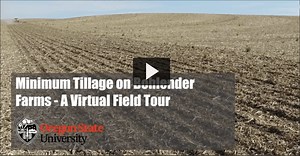Minimum Tillage on Bohlender Farms