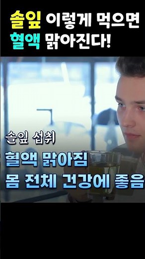 솔잎차 지금 당장 먹어야 하는 이유! (피를 맑게 하는 솔잎차 만드는법!)