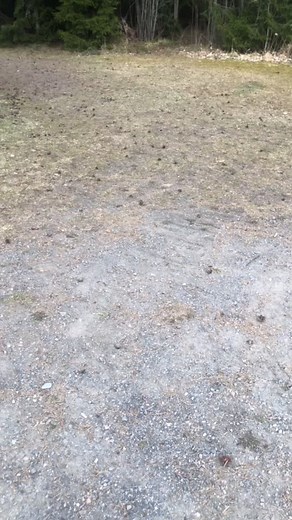 Hyppäättekö tytöt kyyttii. #rallikippo #amis #kalija #sorsa #opel #tehokas #ypäjä #tulkaakyyttii #kulkee #liikaa #pillumagneetti #keydrop #fry