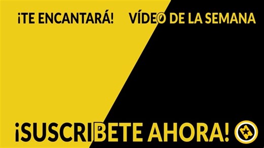Uy, van a empezar de nuevo los shippeos brutales😆 Les traigo el trailer en español latino de #Zootopia2, en la que veremos a #JudyHopps y #NickWilde para detener a #GaryDeSnake. Ademas de arreglar sus evidentes problemas de pareja😅 #Disney #Zootopia #Gazelle #SuperiorSpiderMan😎 | Comixverso