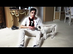 SURPRISING BOSLEY FOR HIS BIRTHDAY!! (OUR NEW PET) | FaZe Rug