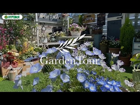 🕊Garden Tour🕊15：ガーデンピクニックやナイトガーデニングも楽しめる、青空が美しいガーデンバルコニー