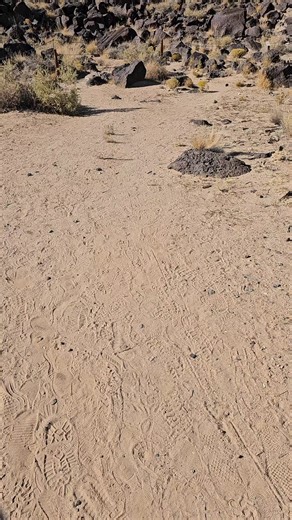 david (@davidlipe7)’s videos with original sound - david