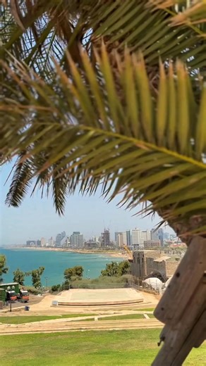 Tel Aviv may be known as the city that never sleeps, but it also knows how to slow down. Hidden inside the buzz of the city are calm corners perfect for a relaxed afternoon escape. Here are a few places to discover when you’re ready to unwind 🧘🏽‍♀️✨ 📸: Tel Aviv City #VisitIsrael #StandWithIsrael #TelAviv #Parks #Calm | Visit Israel